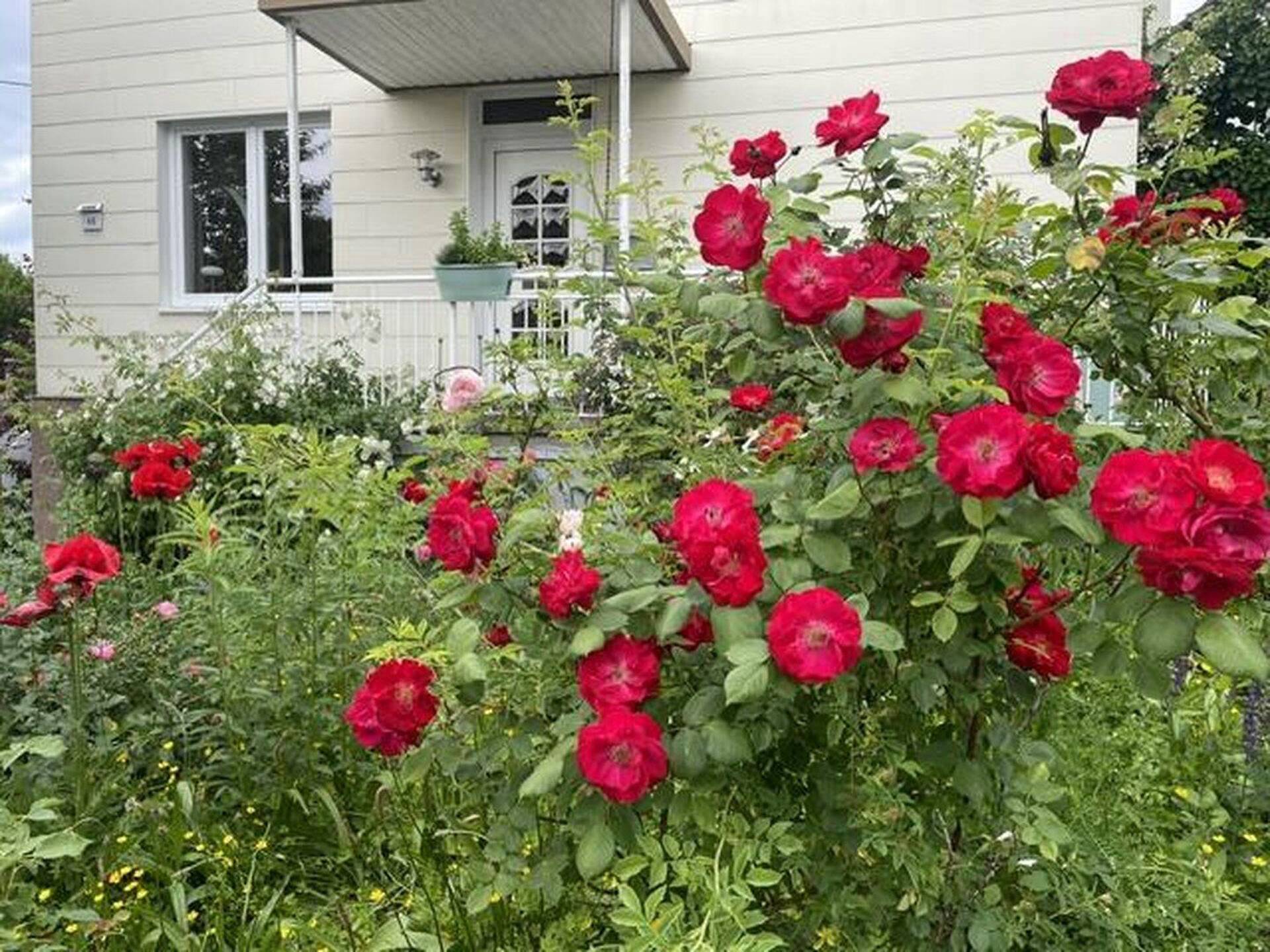Haus in 57076 Siegen-Weidenau mit 175 m² kaufen