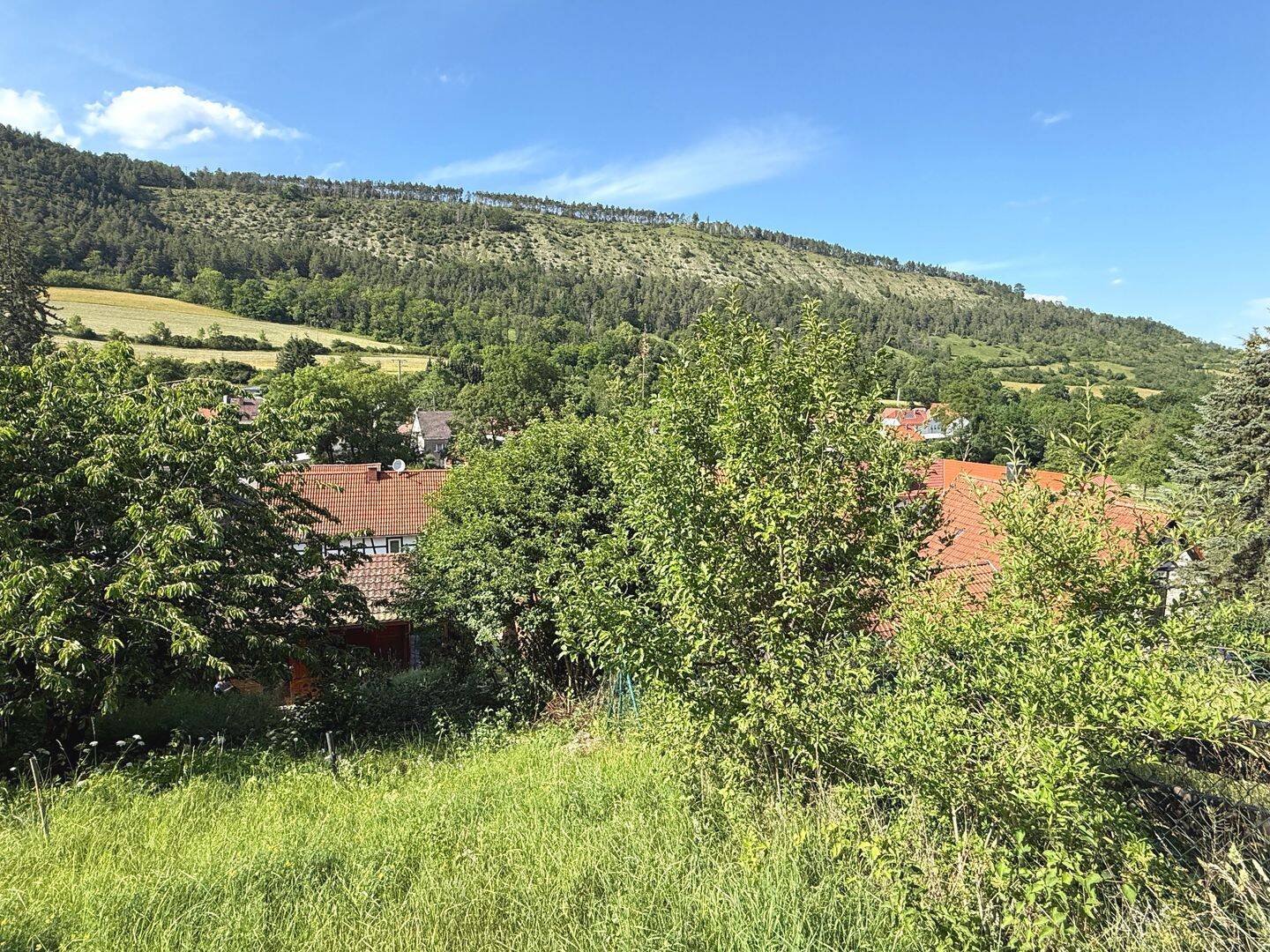 Traumhaft schönes Wochenendhaus auf einem Südhang-Grundstück in Jena-Leutra zum Verkauf – Jena – Vorschaubild 4