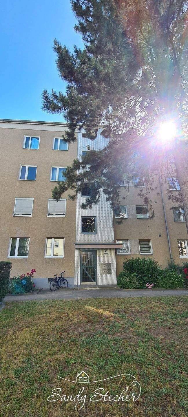 Bezugsfrei nahe Kutschi: Lichtdurchflutete Wohnung mit Süd-West-Balkon – Berlin – Vorschaubild 3