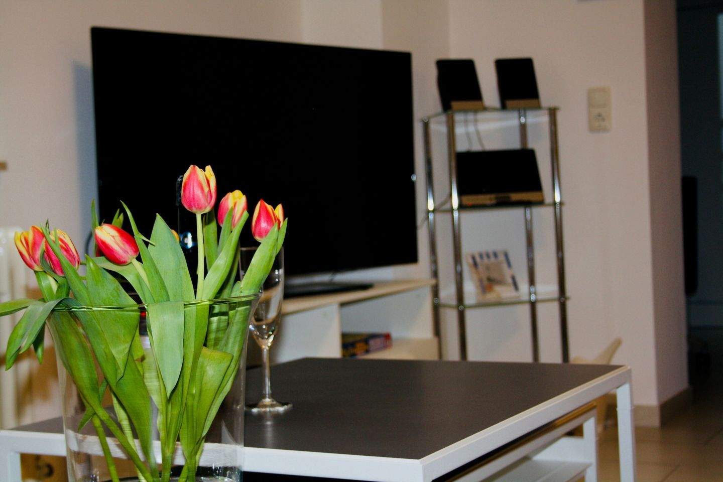 Feinstes & wunderschönes Apartment in beliebtem Viertel – Mainz – Vorschaubild 5
