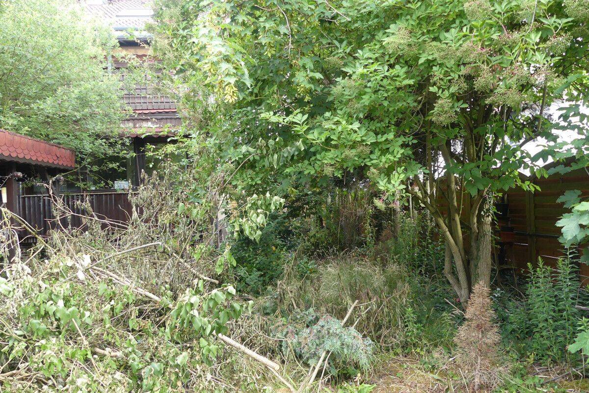 "Besondere Gelegenheit in Bruchköbel" Haus mit großem Garten in guter Lage – Bruchköbel – Vorschaubild 9