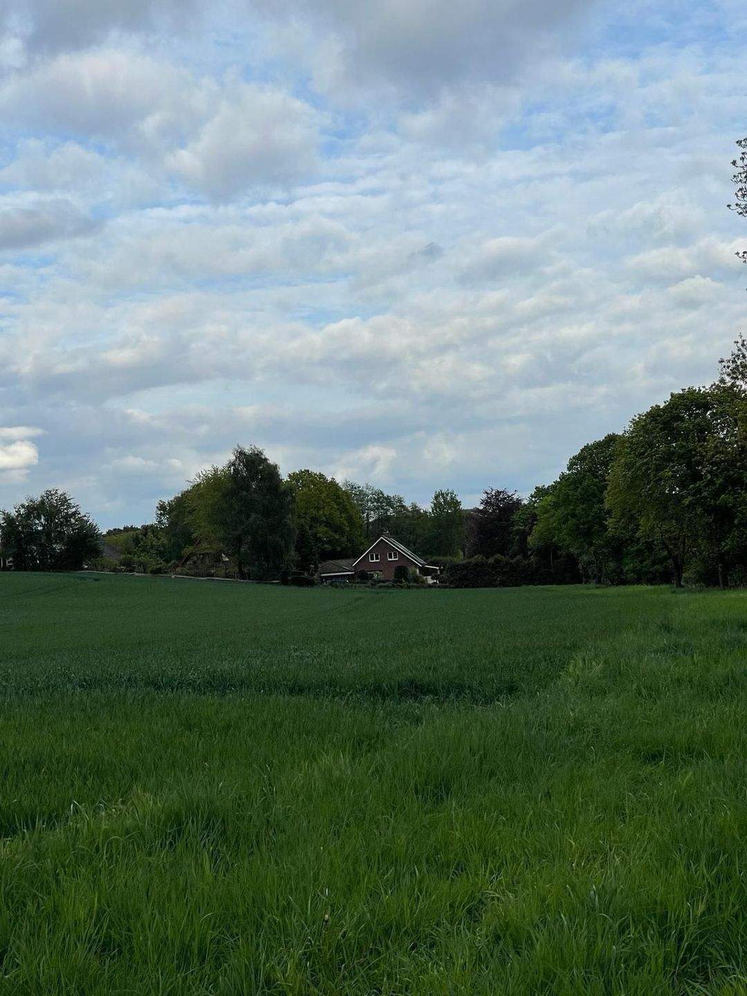 COURTAGEFREI - exklusives Traumhaus - mit fantastischem Weitblick - Wärmepumpen/Photovoltaik mit Rückvergütung – Gülzow – Vorschaubild 8