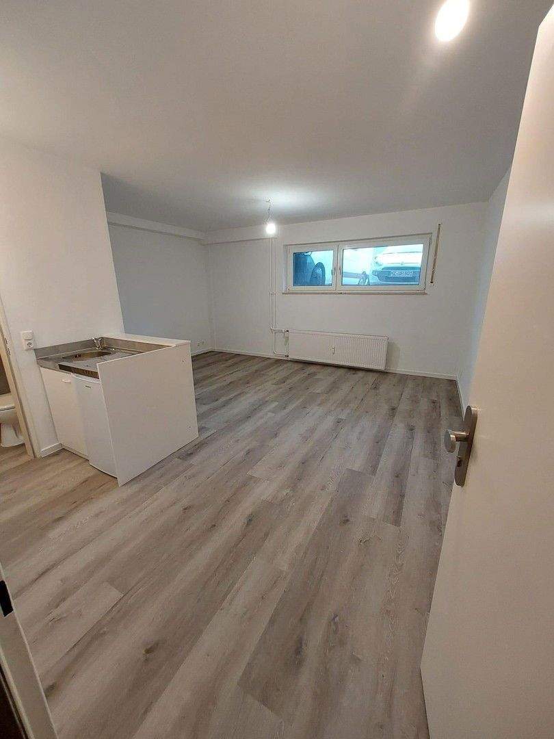 Erstbezug nach Renovierung: Modernes Souterrain-Appartement in Uninähe – Mainz – Bild 1 von 3