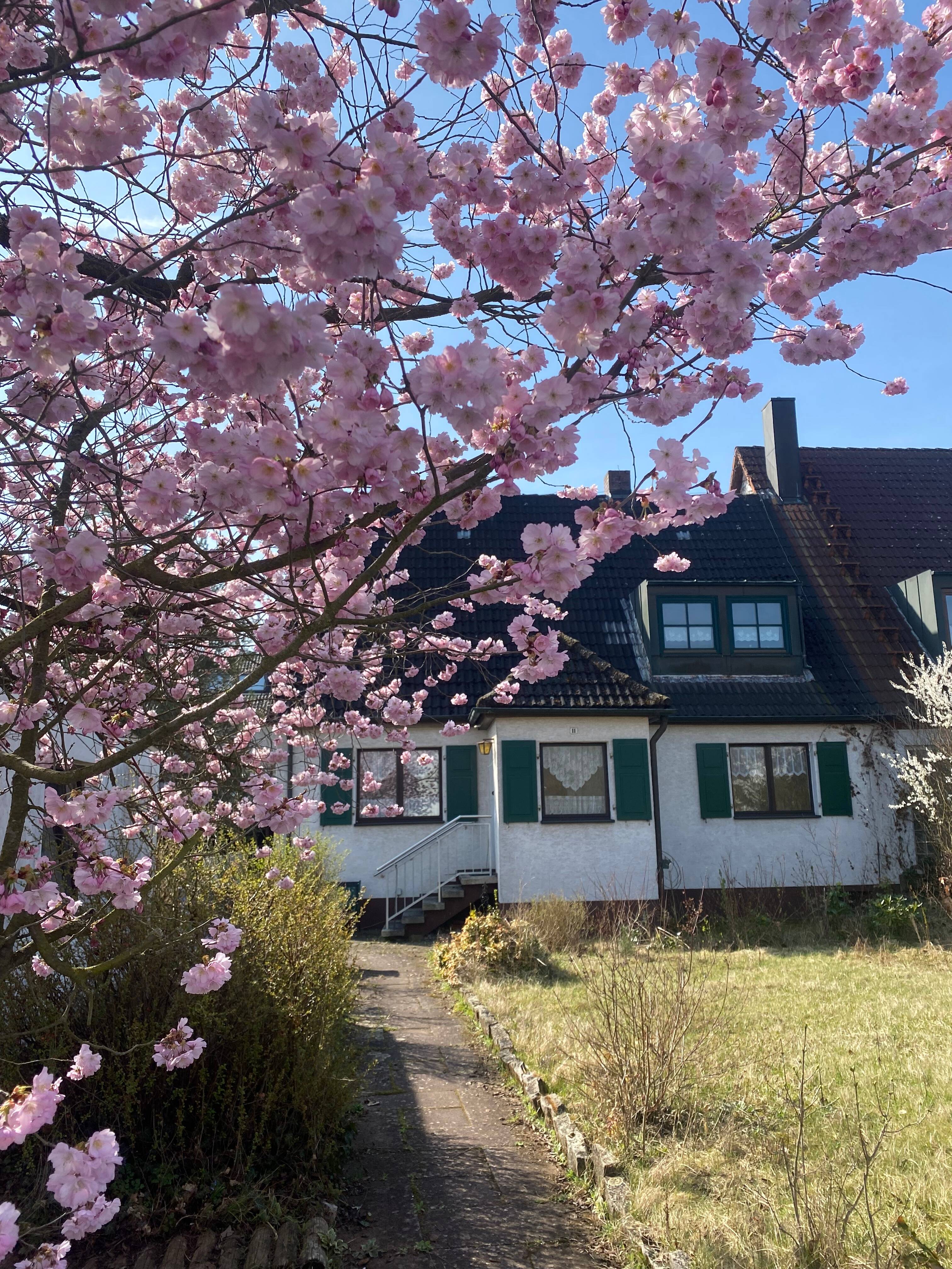Charmante Doppelhaushälfte im fränkischen Stil mit Garage in ruhiger Wohnlage von Alterlangen (sanierungsbedürftig)