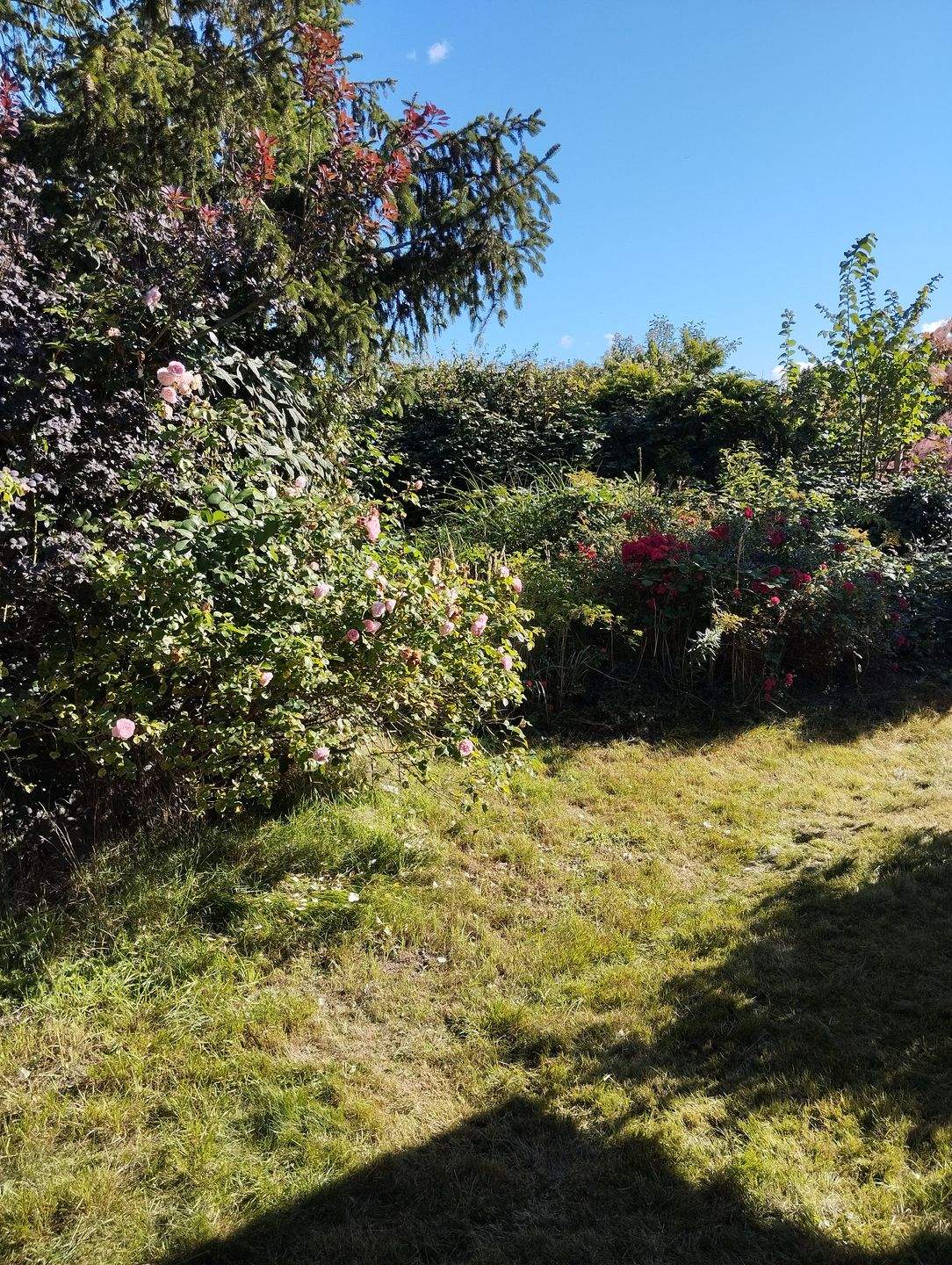 Ruhige Lage-großer Garten-ebenerdiger Bungalow – Werneuchen – Vorschaubild 5
