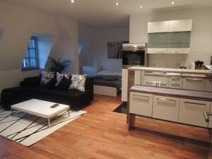 Möbliertes 1-Zimmer-Appartment mit Geothermieheizung in der Nähe der Fußgängerzone
