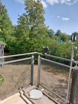 Uninah! TOP 1-Zi-App. mit Balkon und TG- frei! – 93053 Regensburg – Vorschaubild 9