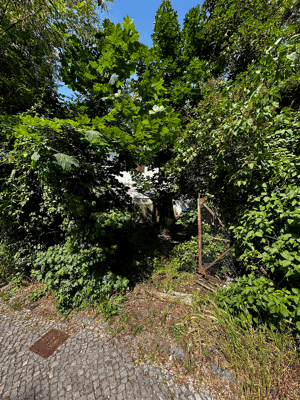 1. Reihe am Wannsee mit Seeblick – 14089 Berlin – Vorschaubild 6