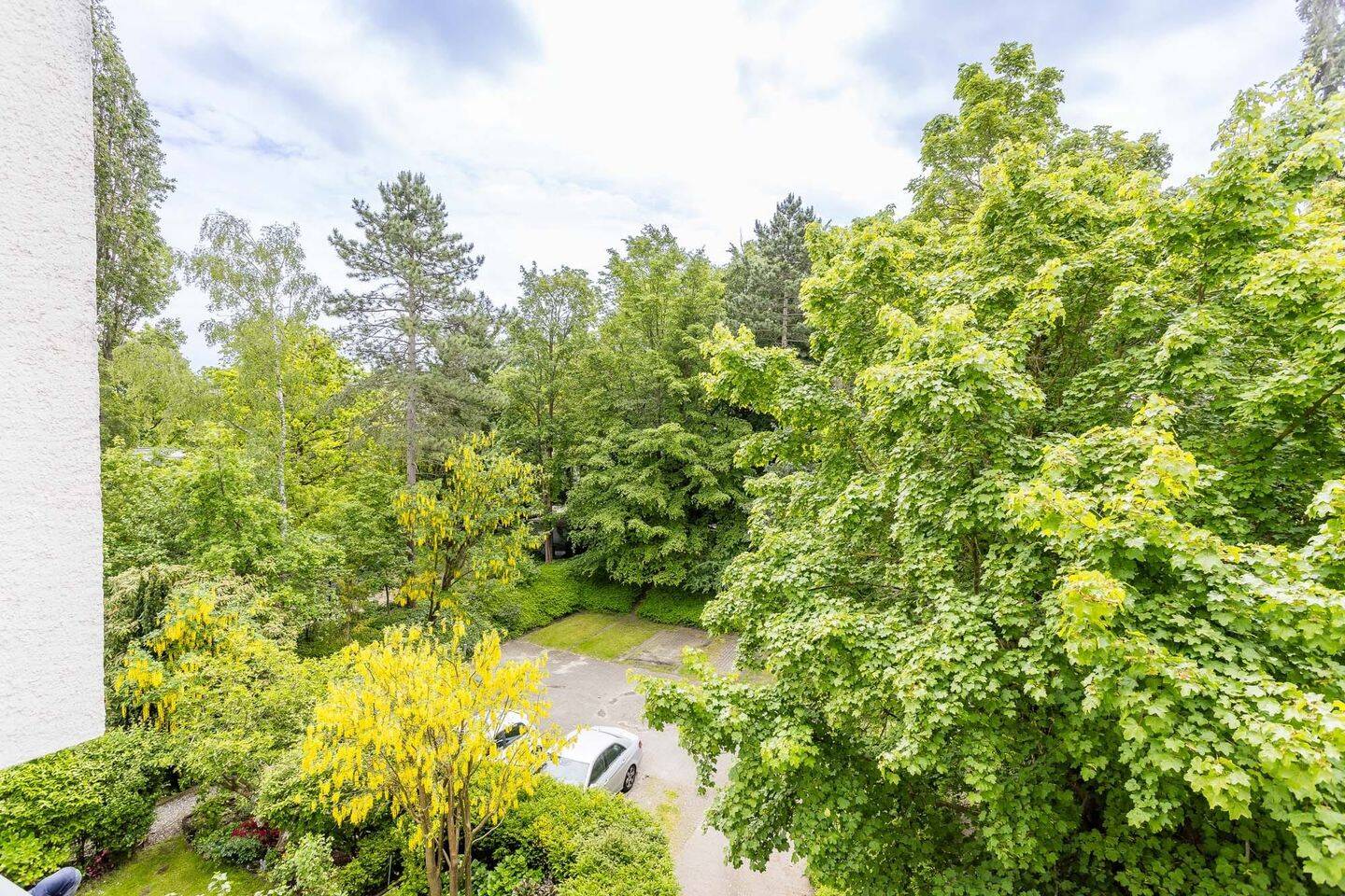 Gelegenheit nahe Botanischem Garten! Gut geschnittene 3-Zimmer-Wohnung mit großem Balkon und Blick ins Grüne – Berlin – Vorschaubild 6
