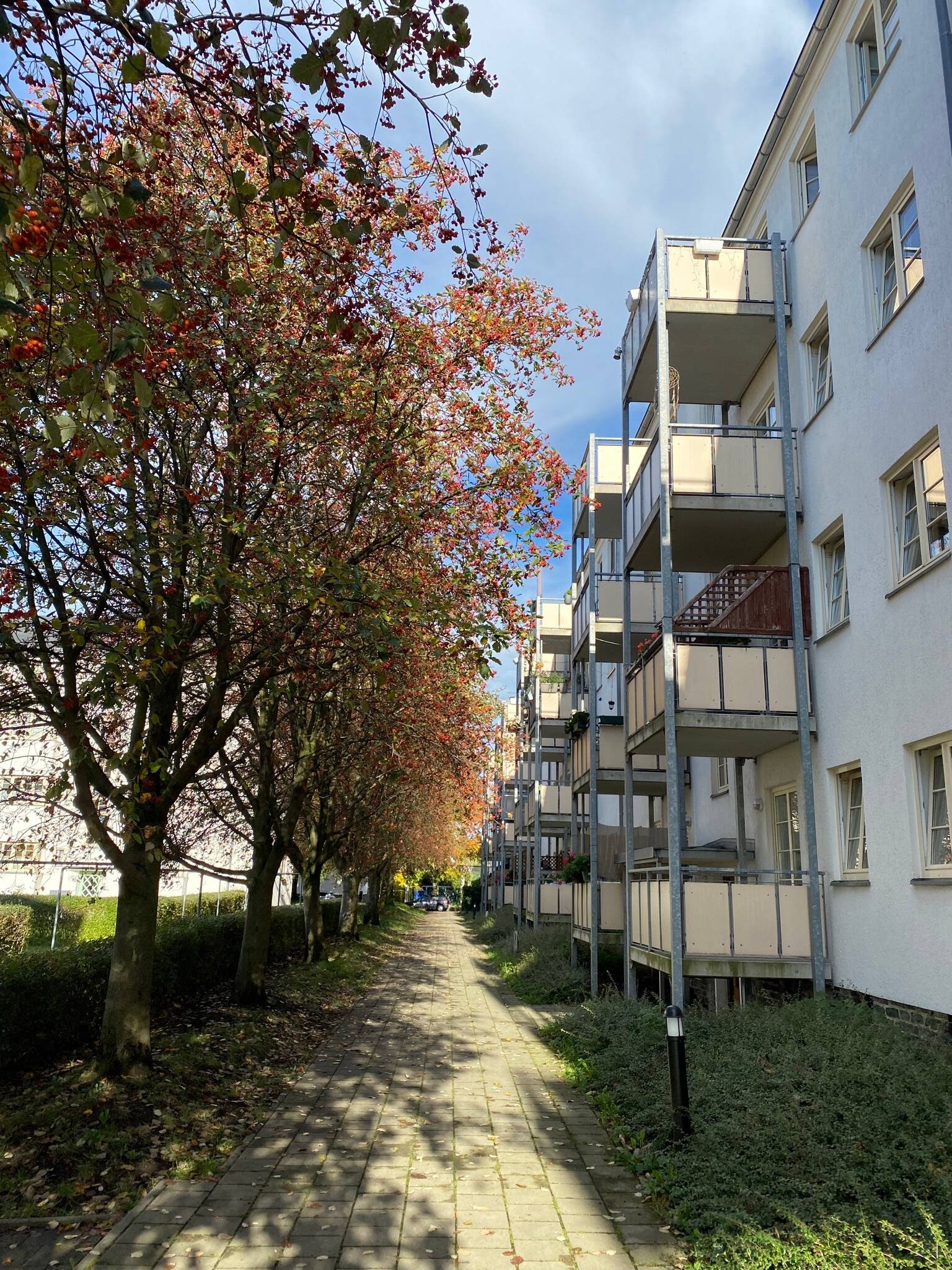 +++++ Wohnglück! 2 -Raum-Wg im beliebten Wohngebiet Chemnitz/ HEIMGARTEN+++++ +++++ – Chemnitz – Vorschaubild 3