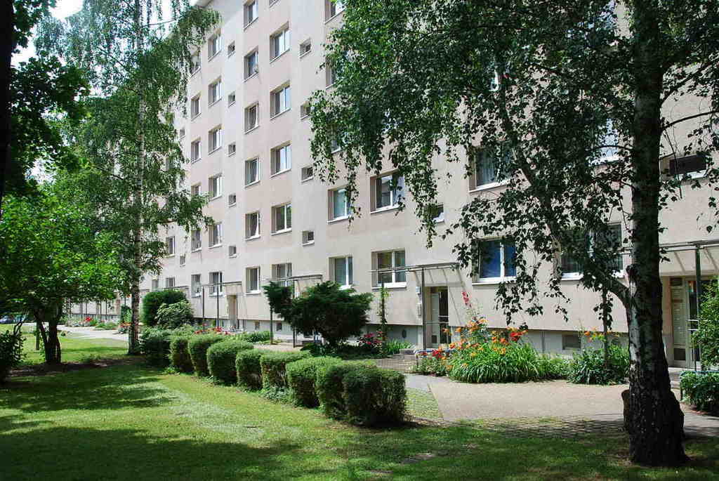 Kleine 2-Raum-Wohnung neu saniert – Chemnitz – Vorschaubild 4