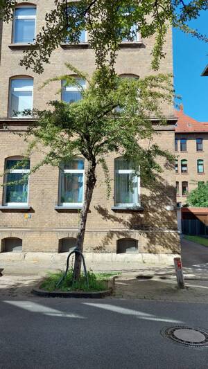 Helle, freundliche 3-Zimmer-Wohnung im östlichen Ringgebiet