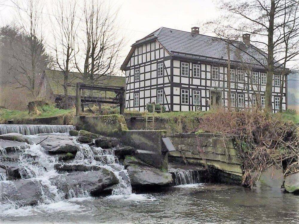 Gehobenes kernsaniertes Herrenhaus in ruhiger Lage – Kirchbrak – Vorschaubild 3