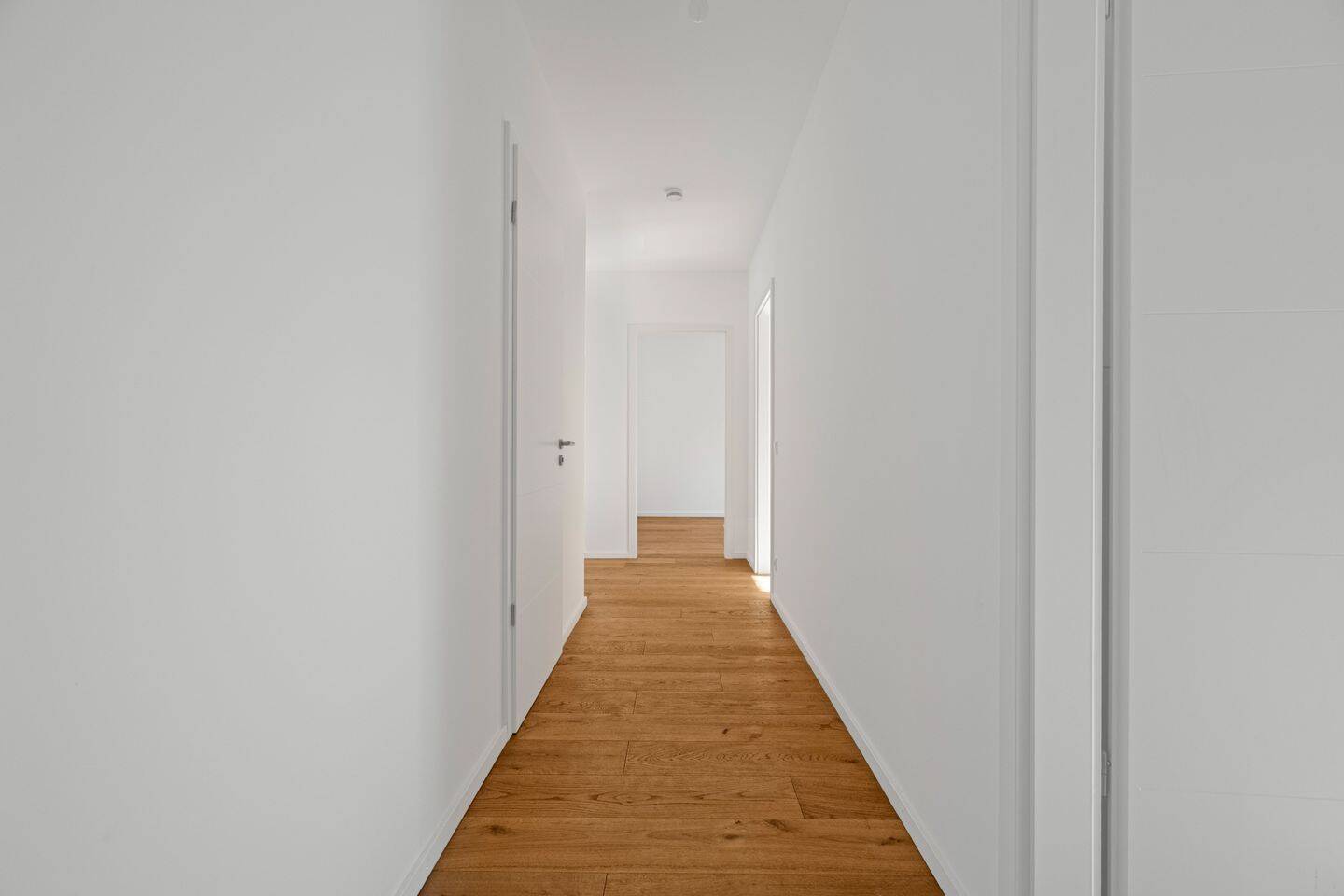 Wohnung in Potsdam – Potsdam – Vorschaubild 5