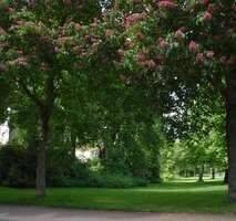 MFH am Park !! Schönes 30er-Jahre GENERATIONSHAUS im Top-Zustand !! – Bielefeld – Vorschaubild 3