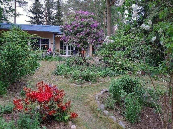 VERTRÄUMTER BUNGALOW IN ZERNIEN ! – Zernien – Vorschaubild 5