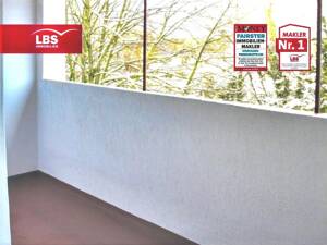 Hell und freundlich 2,5 Zi. mit Loggia ink. Energetischer Sanierung in 2026 – 47137 Duisburg – Vorschaubild 2