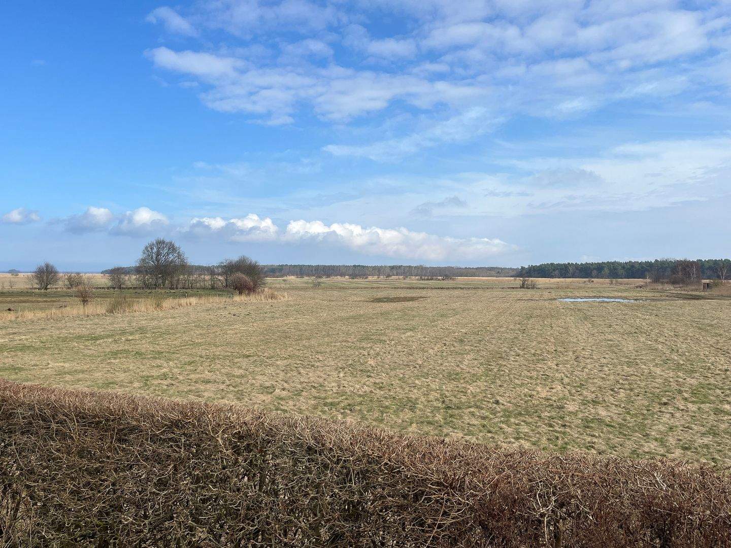 Großzügiges Wohnhaus am Rande von Pruchten – Pruchten – Vorschaubild 5