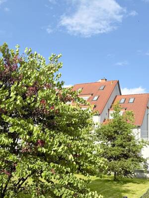 Kassel-Wehlheiden...wunderschöne Dachstudiowohnung mit Balkon