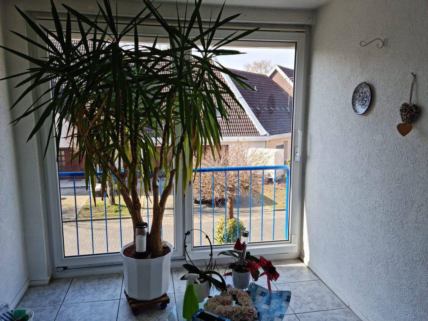Wohlfühloase in der Nordweststadt – Karlsruhe – Vorschaubild 6