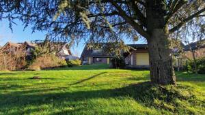 Ein Zuhause mit Zukunft - freistehendes Haus auf 2.067 m² direkt am Sterkrader Wald – 46145 Oberhausen – Vorschaubild 4