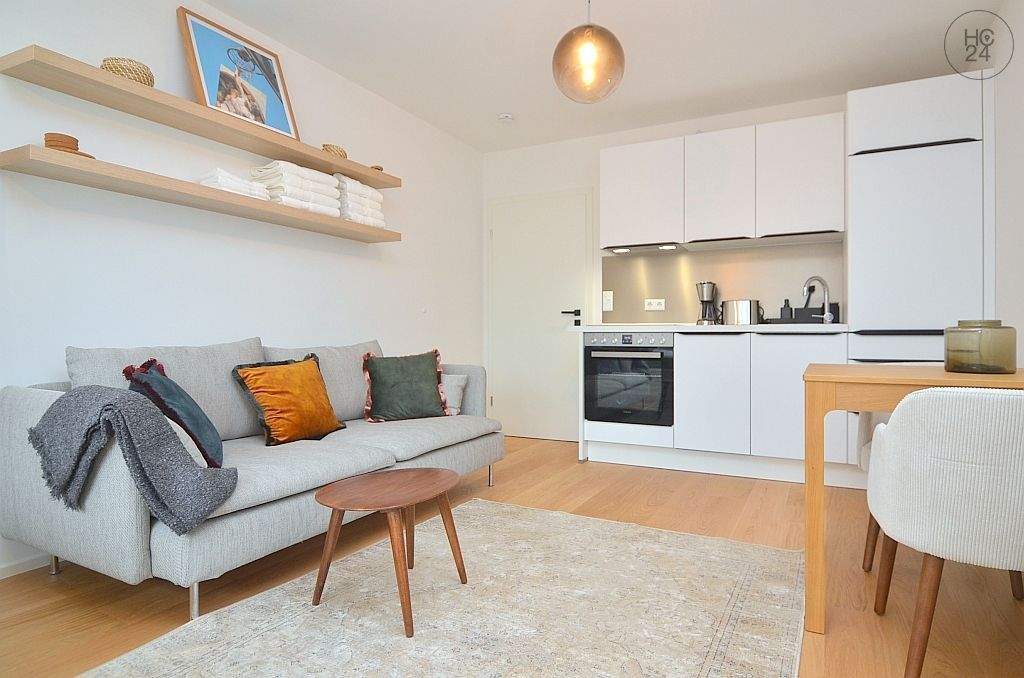 Exklusiv möbliertes 1-Zimmer-Apartment mit WLAN in St.-Johannis – Nürnberg – Vorschaubild 6