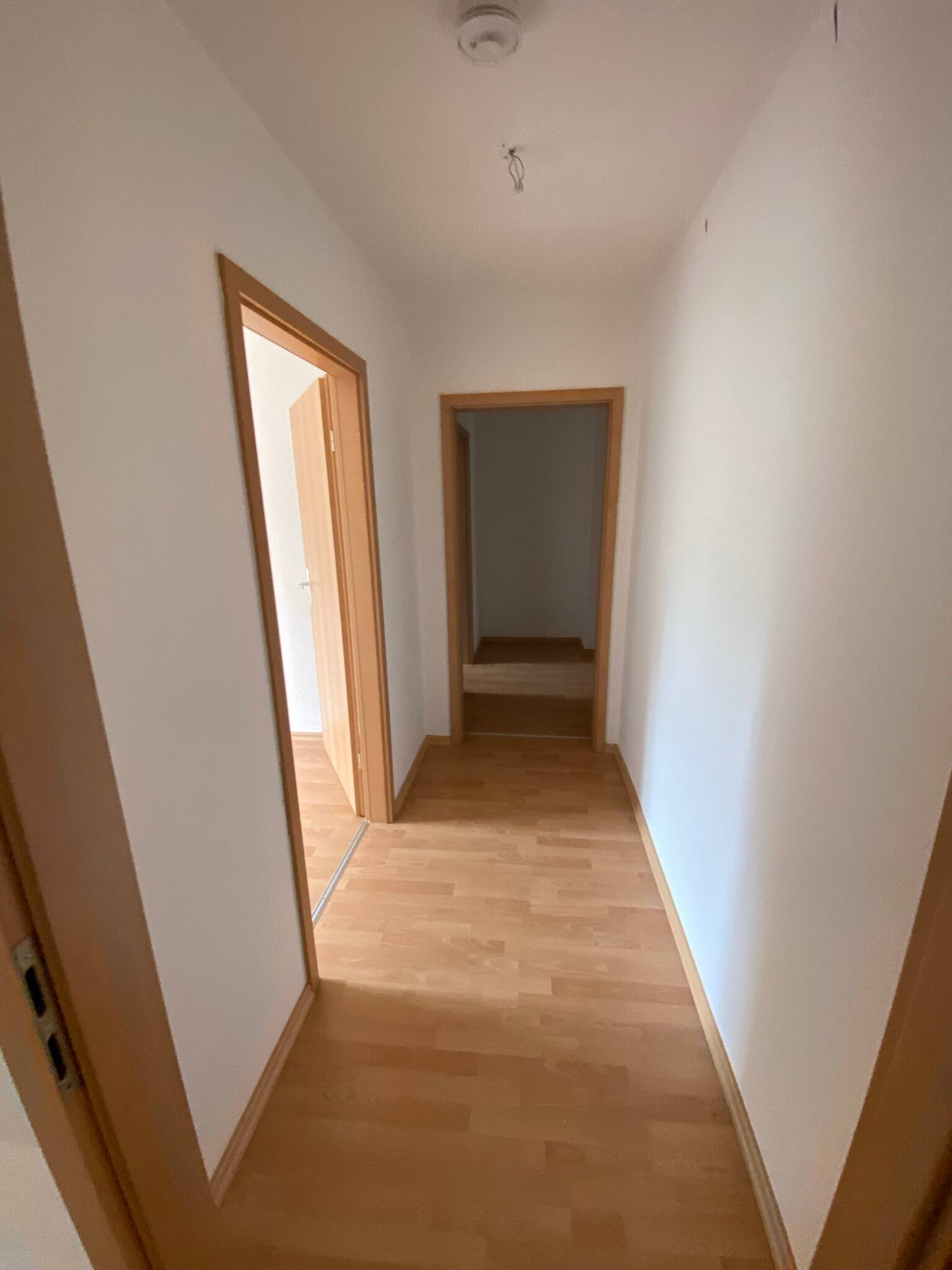 OBEN°°°°gemütliche2-Raum-Wohnung mit Laminat im DG °°°° – Chemnitz – Vorschaubild 6