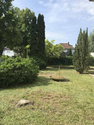 Schönes EFH mit Terrasse und großem Garten in Lankwitz – 12249 Berlin – Vorschaubild 6