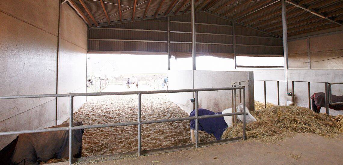 Reitanlage Nähe Koblenz zu verkaufen – in Mitten des Sonderbaugebietes “Wohnen mit Pferden” – Lonnig – Vorschaubild 7