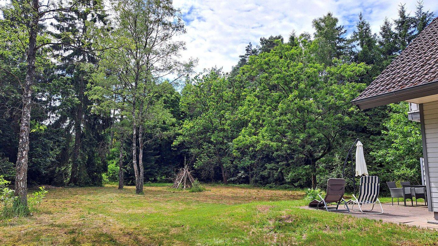 Naturidylle pur auf Waldgrundstück, Nähe Golfplatz St. Dionys – Bardowick – Vorschaubild 4