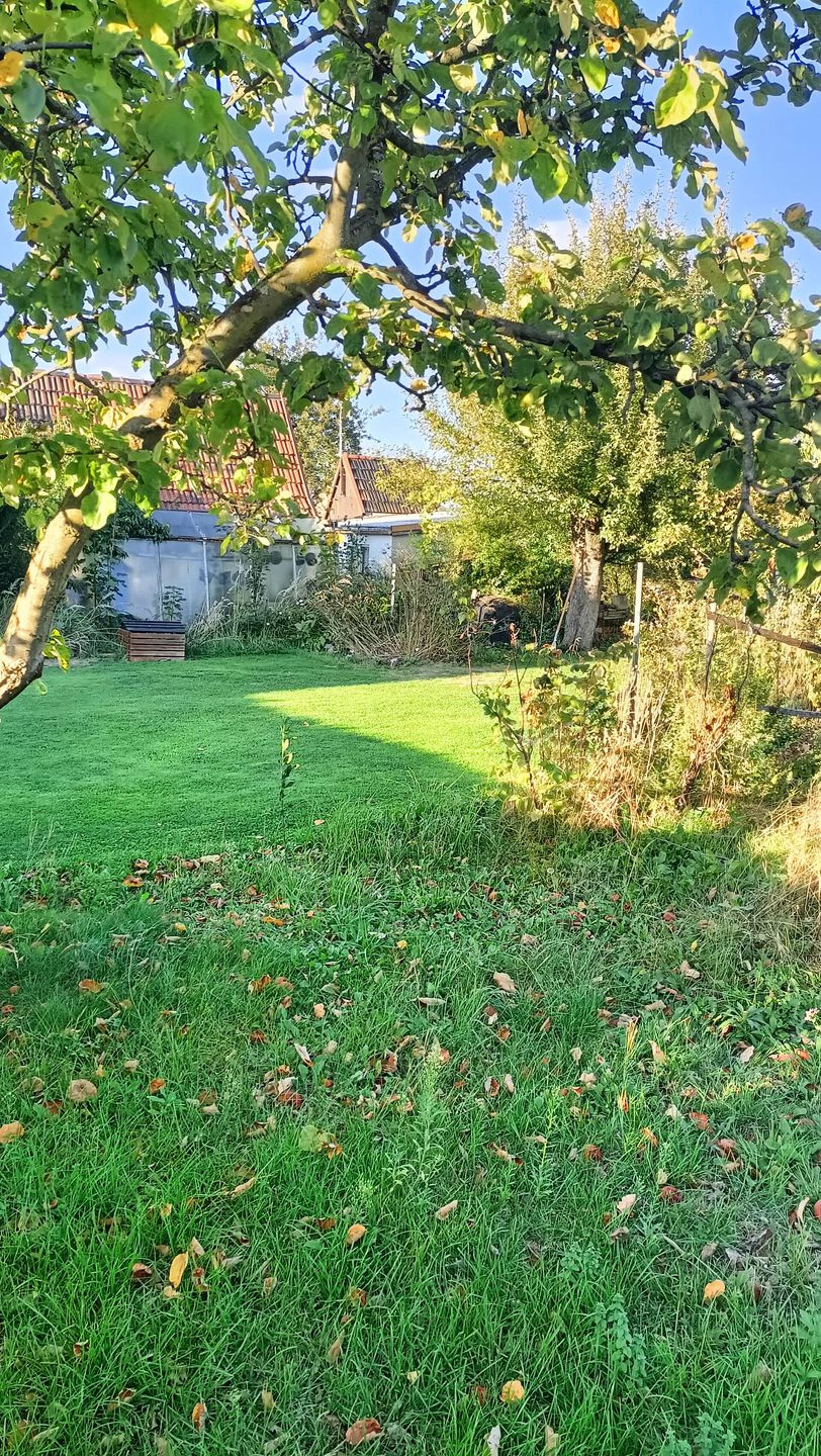 Haus in 08066 Zwickau mit 80 m² kaufen