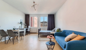 Studio-Apartment zu vermieten (Dresden)