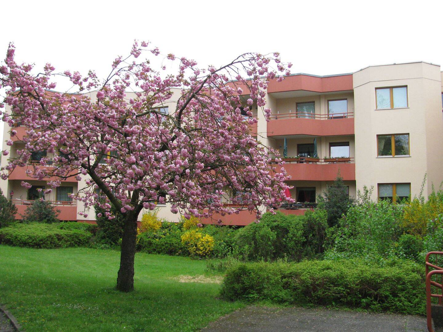 schöne Wohnung auf 7.000 m² Grundstück – Berlin – Vorschaubild 2