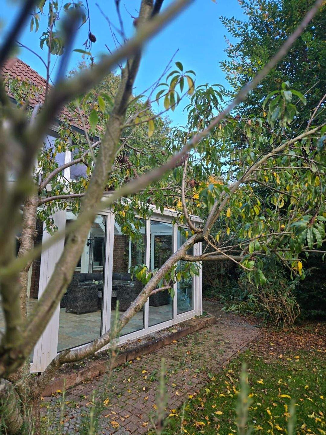 Traumhaftes Einfamilienhaus mit 8 Zimmer und Wintergarten in toller Lage in Diepholz – Diepholz – Bild 1 von 9