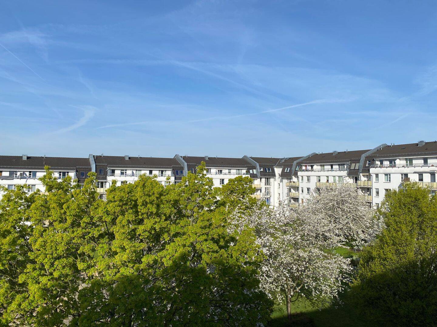 Sonnige Einraumwohnung mit 2026 renoviertem Bad – Chemnitz – Vorschaubild 5