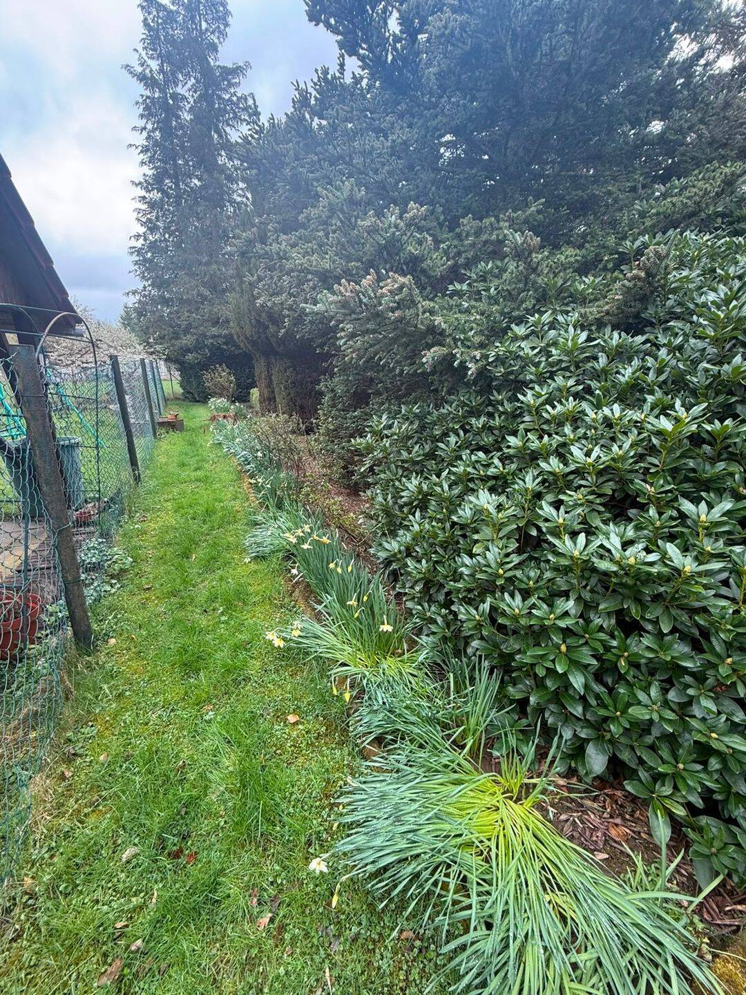 Zentrumsnaher Eigentumsgarten – Waltershausen – Vorschaubild 4