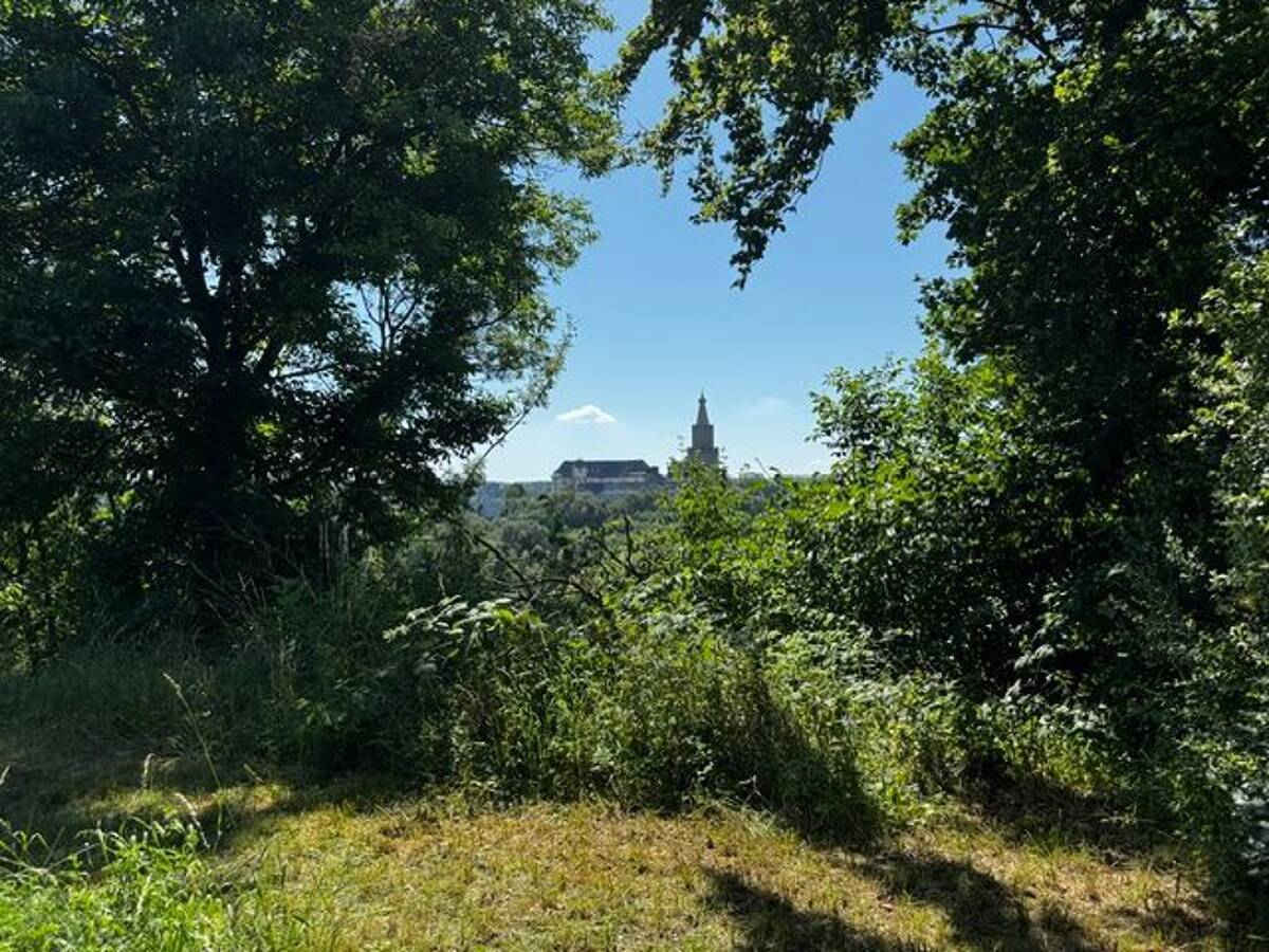 "OSTERBURGBLICK"! EFH mit Ausbau-Potential für Kreative & 3290m²-Grundstück, große Wiese, für Sport & Spiel, Kleintierhaltung & Bio-Gärtner! – 7570 Weida – Bild 1 von 9