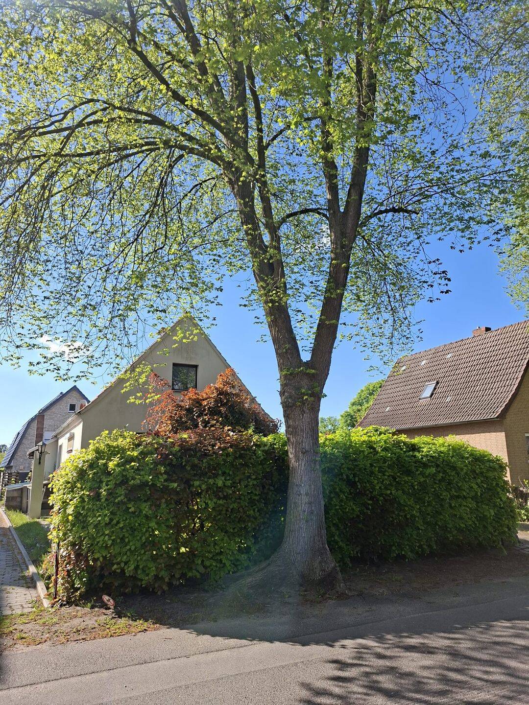 Einfamilienhaus in einer der ruhigsten Straßen Halstenbeks - direkt an der Grenze zu Hamburg – Halstenbek – Vorschaubild 5