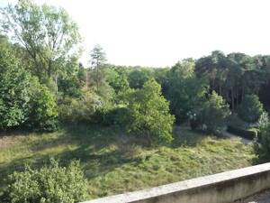 Schöne 3-Zimmer-Wohnung mit Balkon und EBK in Darmstadt-Eberstadt – 64297 Darmstadt – Vorschaubild 3