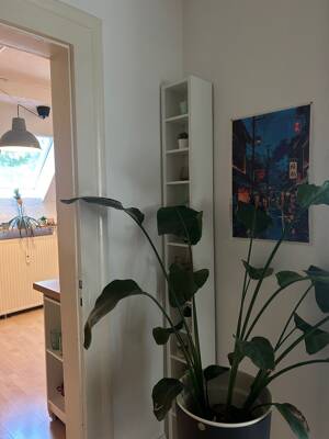 Schöne Altbauwohnung in Os-Schölerberg – 49082 Osnabrück – Vorschaubild 3