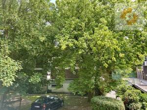 Wohnung in Bremen – 28329 Bremen – Vorschaubild 5