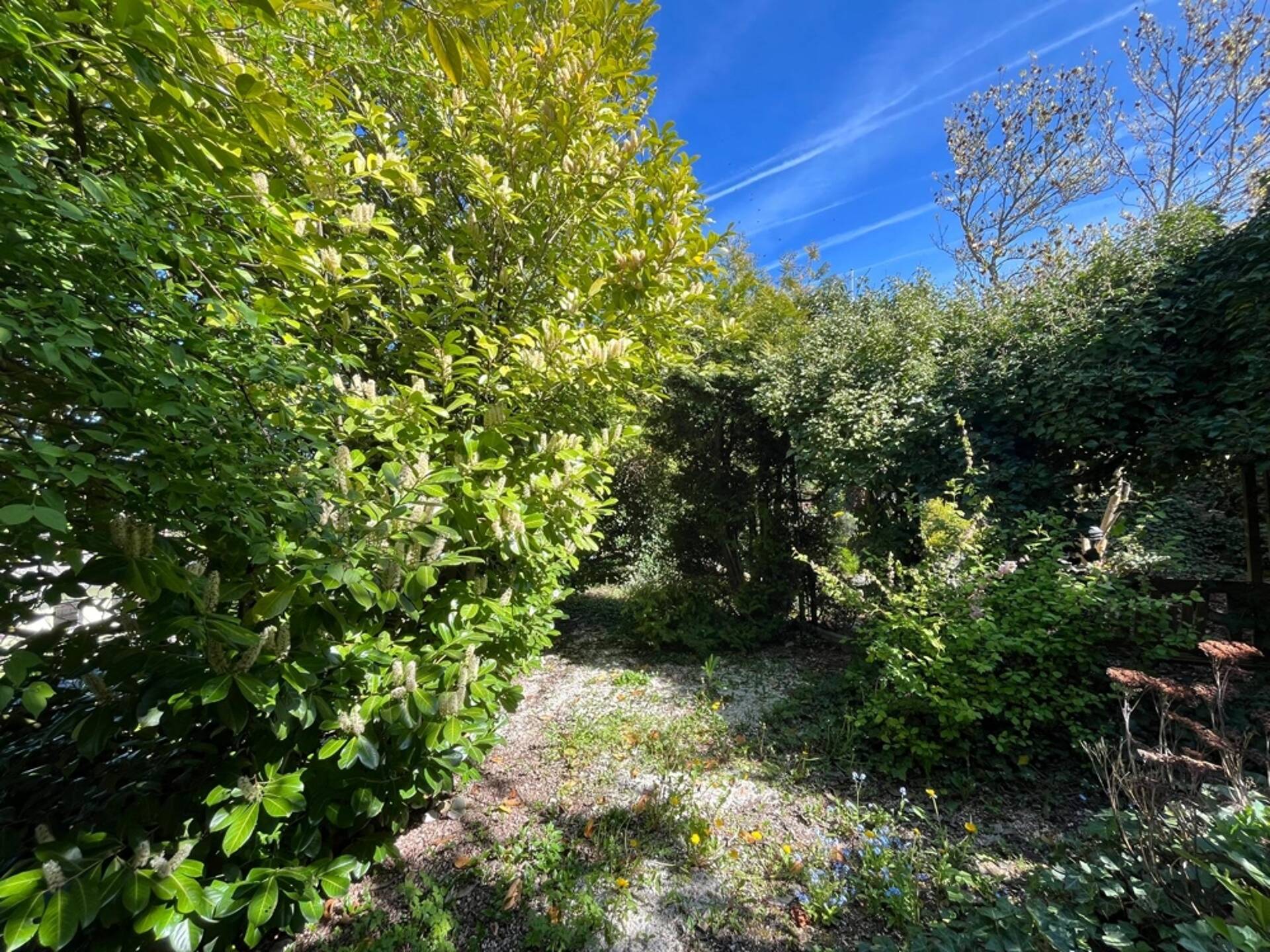 Haus in 66564 Ottweiler / Lautenbach mit 174 m² kaufen