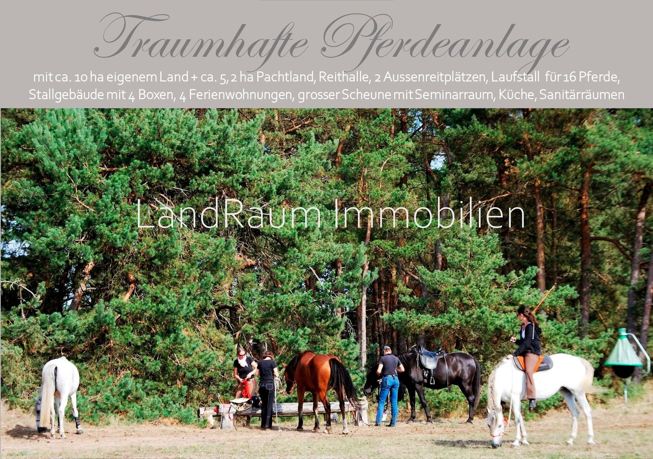 Pferdehof - Reitanlage, 4 FeWo, 10 ha Land + ca. 5,2 ha Pachtland, Reithalle 20 x 60 m + Aussenreitplätzen, Laufstall 16 Pferde+4 Boxen, g – Dreetz – Vorschaubild 8