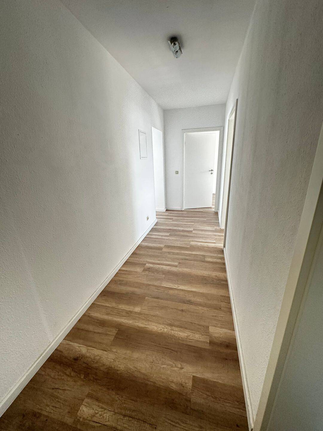 helle 2 Raum Wohnung zum Wohlfühlen – Chemnitz – Vorschaubild 2