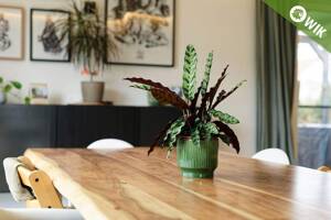 Modernes Wohndesign trifft Nachhaltigkeit: WOHLFÜHL-NEUBAU-FAMILIENHAUS aus dem Sonnenpark sucht AB SOFORT neue Eigentümer! – 4289 Leipzig – Vorschaubild 9