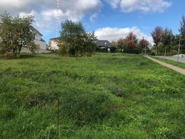 Zentraler geht es nicht!Leben über der Stadt Königs Wusterhausen! – Königs Wusterhausen – Bild 1 von 9