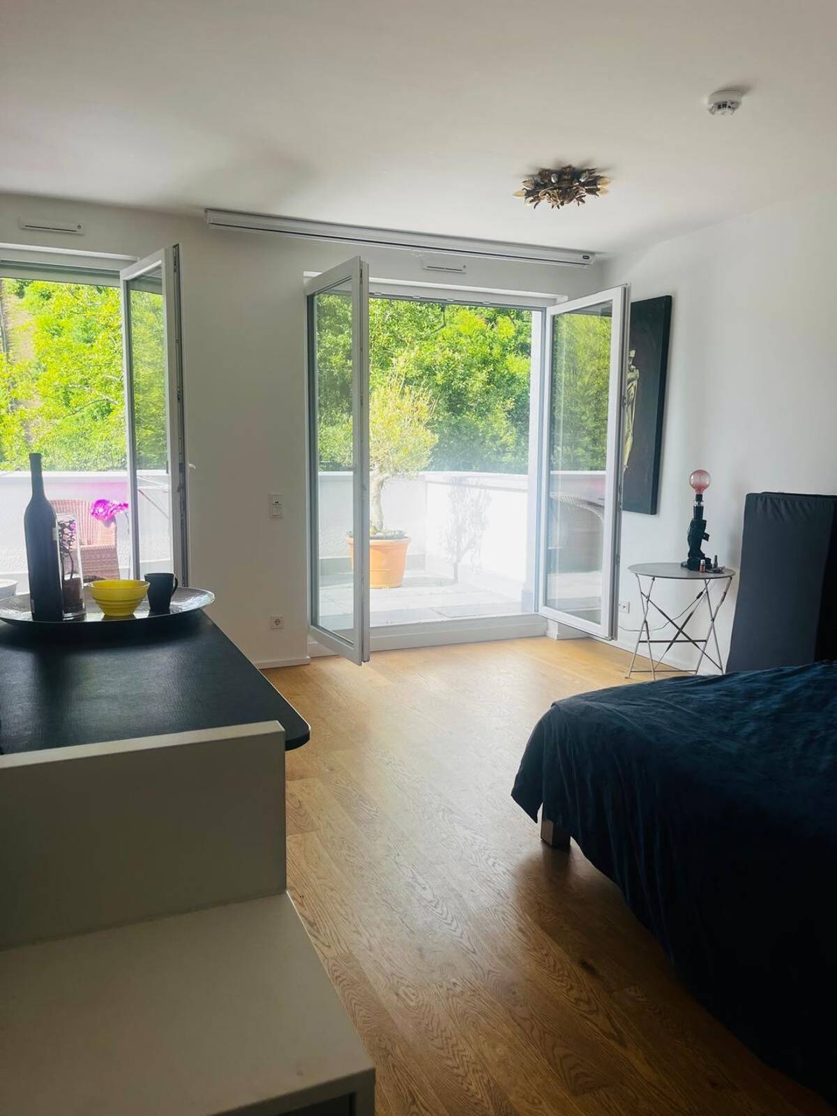 Kompaktes Penthouse mit großer Sonnenterrasse und Weinbergblick – 54295 Trier – Bild 1 von 7