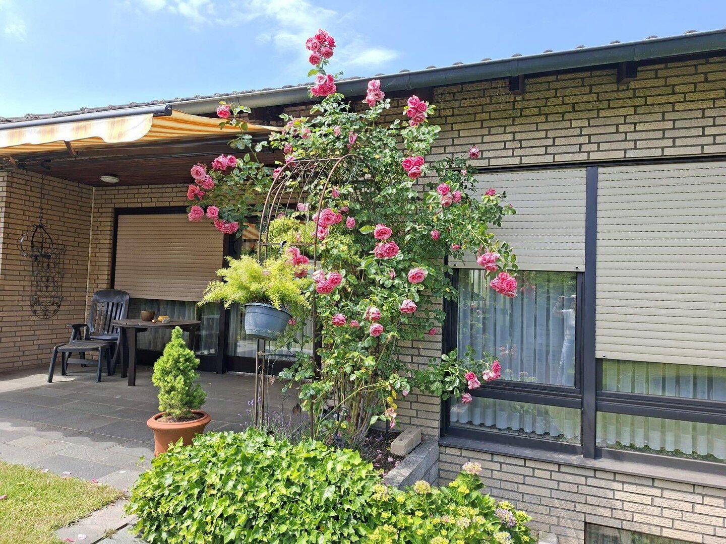Freistehendes Einfamilienhaus in Herten-Westerholt in ruhiger Lage – Herten – Bild 1 von 9