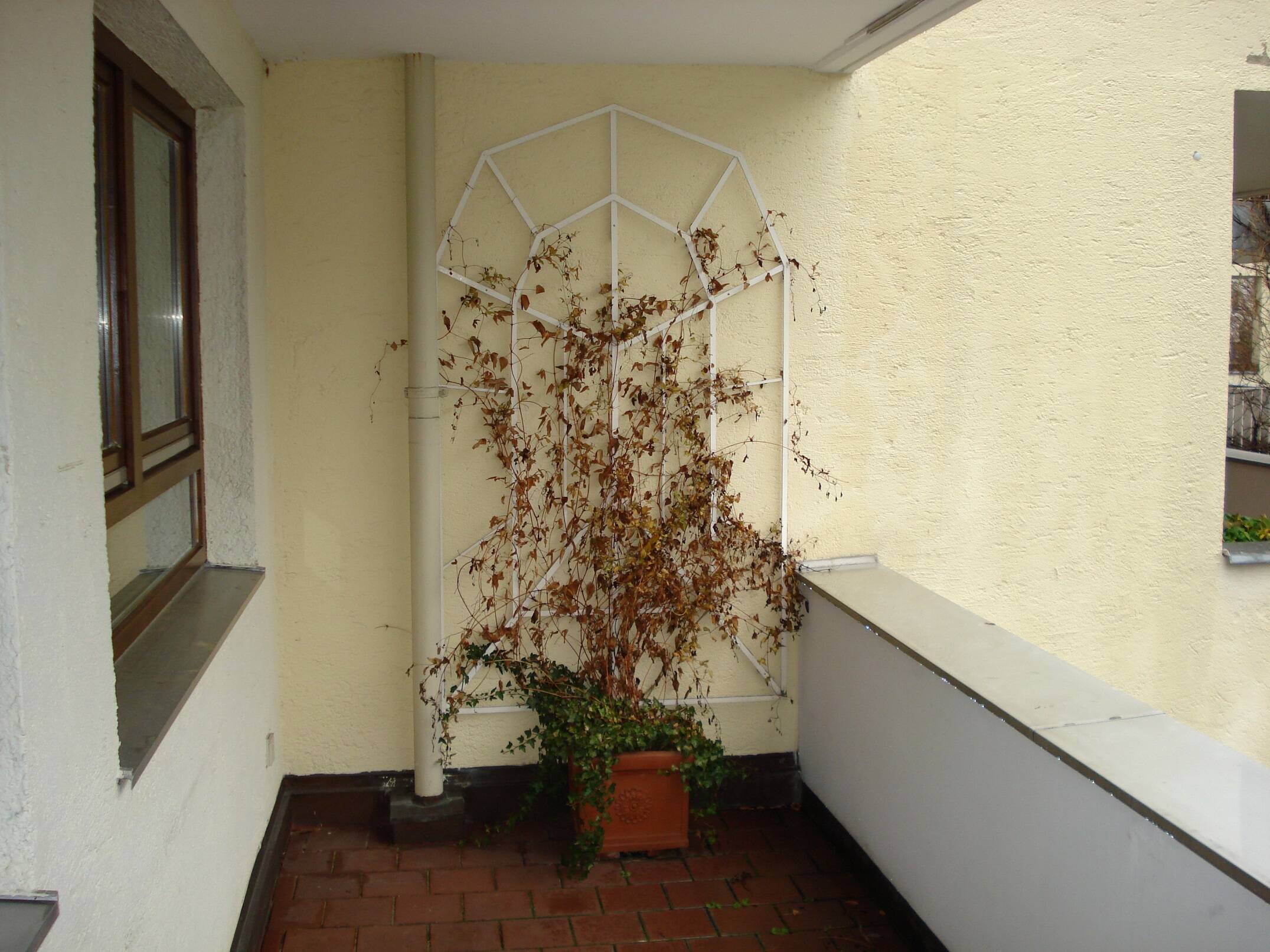 Sonnige ruhige 3-Zi. Wohnung an der Isar – München – Vorschaubild 2