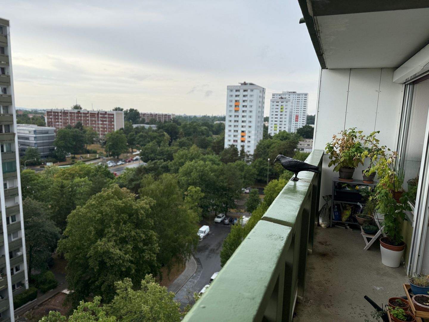 Sehr gepflegte 3-Zimmer-Wohnung – Nürnberg – Bild 1 von 9